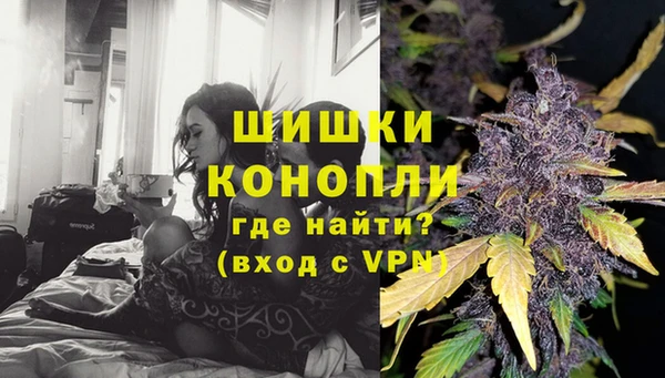 ПСИЛОЦИБИНОВЫЕ ГРИБЫ Богородицк