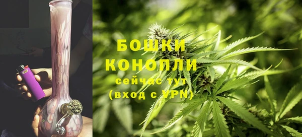 ПСИЛОЦИБИНОВЫЕ ГРИБЫ Богородицк