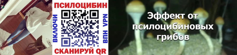 Псилоцибиновые грибы мицелий  закладка  Кизляр 